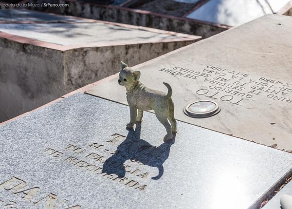 en aplausos Marca comercial Cuestiones prácticas y trámites legales cuando muere un perro