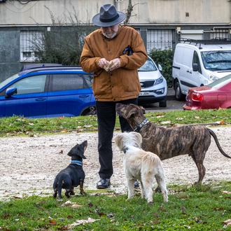 Guía de WSAVA sobre premios para perros: consejos veterinarios para …