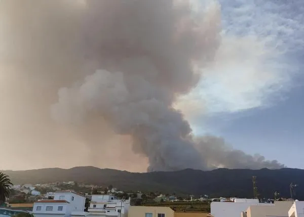 ¿Cómo ayudar a ADEPAC Canarias, la protectora que está en Tenerife, cuyos animales han sido evacuados por el incendio?