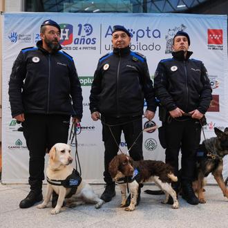 Héroes de 4 Patas premia a la Comunidad de Madrid …