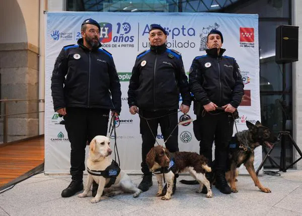 Héroes de 4 Patas premia a la Comunidad de Madrid por su apoyo en la adopción de perros de trabajo jubilados