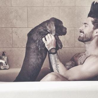 Vida de perros, con mucho estilo: Luna y Kyle, estrellas …