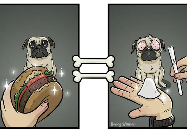 El mundo desde el punto de vista de los perros... o porqué la hamburguesa es droga dura