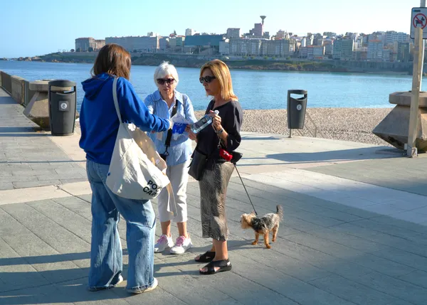 A Coruña amenaza con multas de hasta 30.000 euros a las personas con perro que sean incívicas y no recojan las cacas