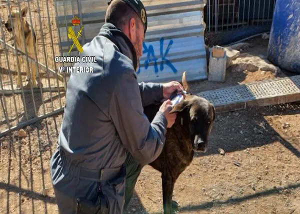 Detenida la responsable de una (presunta) protectora acusada de causar la muerte de 500 animales en 10 años
