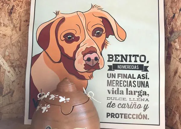 Once meses de cárcel para el hombre que maltrató hasta la muerte al perro al que había adoptado, a Benito