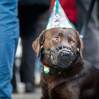 En marcha una campaña para pedir a Ada Colau que …