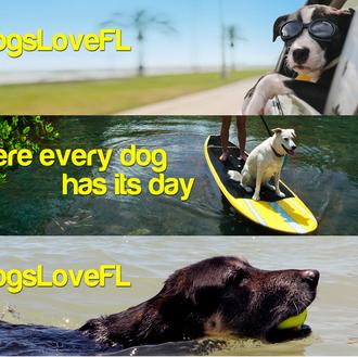 En Florida apuestan, en serio, por el turismo perruno, ¡a …