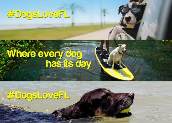 En Florida apuestan, en serio, por el turismo perruno, ¡a ver si nos contagiamos! #DogsLoveFL
