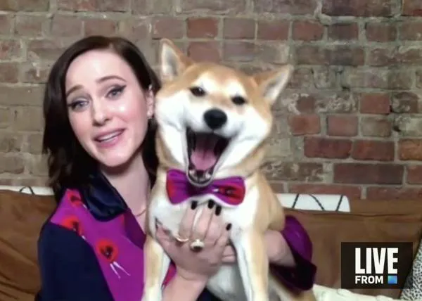 Los perros de Rachel Brosnahan se cuelan con mucho estilo en los Emmy más caseros de la historia