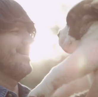 Amores perros, versión musical con Cary Brothers y 22 cachorros...