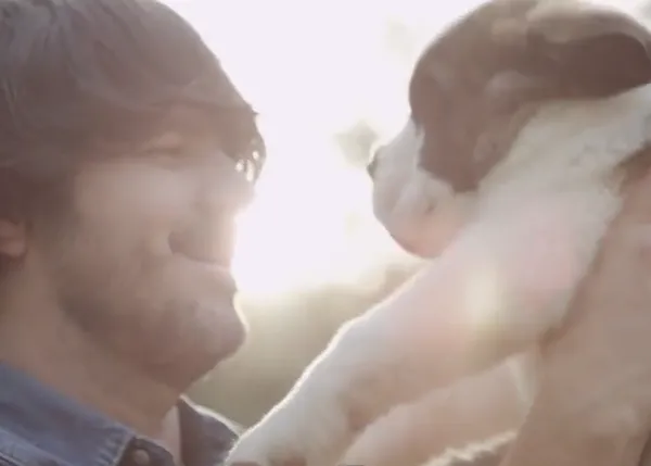 Amores perros, versión musical con Cary Brothers y 22 cachorros...