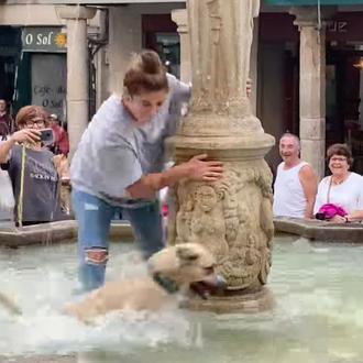 Una perra locuela se lanza a disfrutar del agua en …