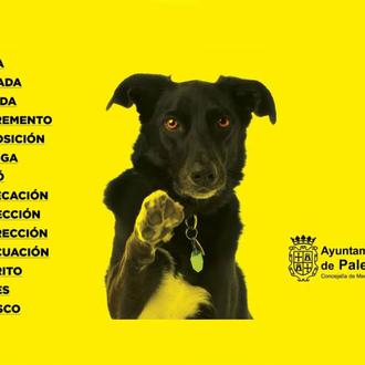 Los muchos sinónimos de la palabra caca y las (aún …