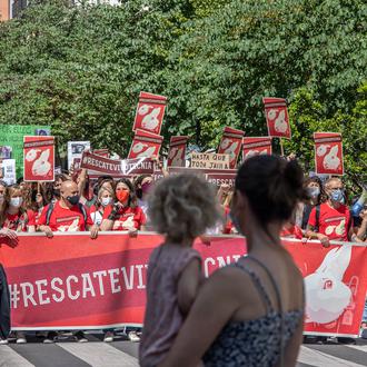 Termina el juicio contra Vivotecnia, un juicio que vuelve a …