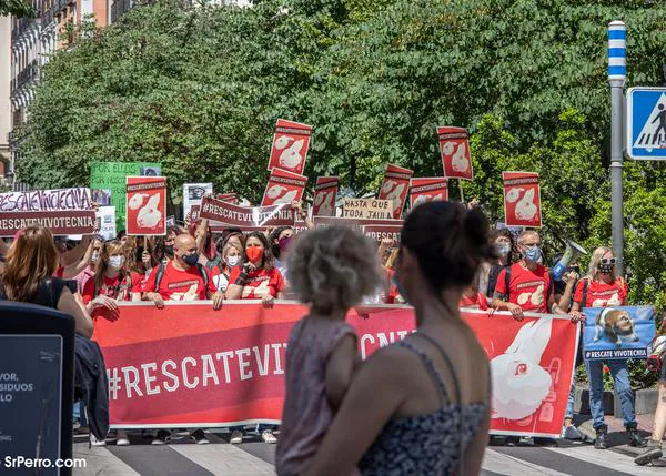 Termina el juicio contra Vivotecnia, un juicio que vuelve a poner el foco sobre el maltrato en laboratorios de experimentación animal