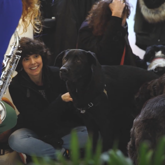 El concierto más GUAU: música especial para perros felizmente adoptados