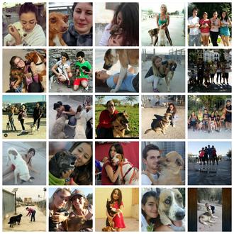 Una protectora de Baeza comparte un durísimo vídeo para denunciar …