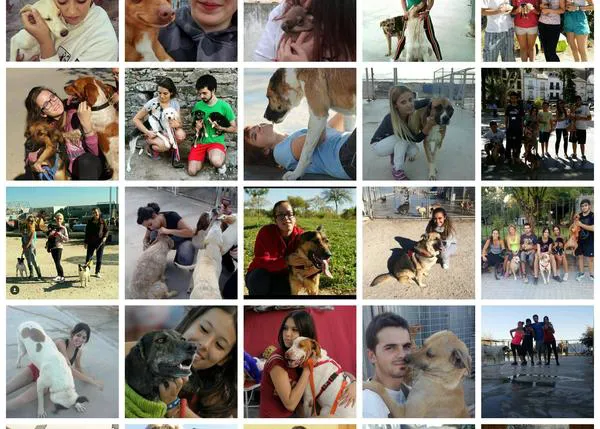 Una protectora de Baeza comparte un durísimo vídeo para denunciar el envenenamiento de un cachorro 
