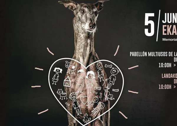 Plan perruno en Durango: pintxopote, exhibición de disc dog, charlas y mucho más