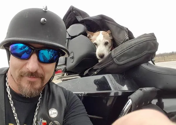 Un perro abandonado sube a una Harley, encuentra un hogar e inspira una canción