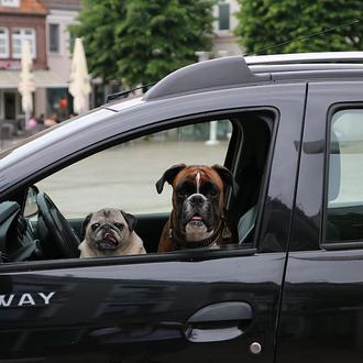 ¿Se puede romper el cristal de un coche para salvar …