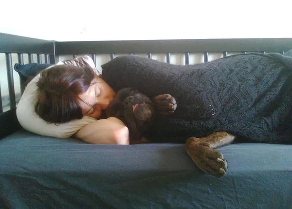 Siete factores clave para que la relación entre una persona y su perro sea tan fuerte y especial