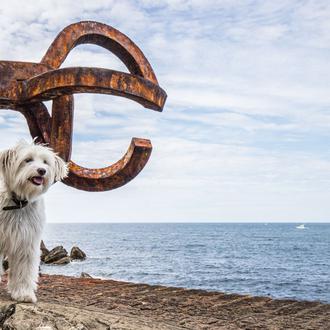 Una gran mayoría rechaza la posibilidad de que los perros …