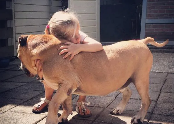 Una niña se despide de su mejor amigo, una niña se despide de su perro anciano