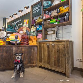 LUSH: cuando ir de compras junto a tu perro te …
