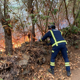 Última hora del Incendio de Tenerife y cómo ayudar a …