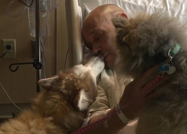 Un hombre hospitalizado tras un tornado se reúne con sus perros a los temía haber perdido para siempre