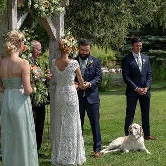 Un perro torpedea la foto de la boda de sus …