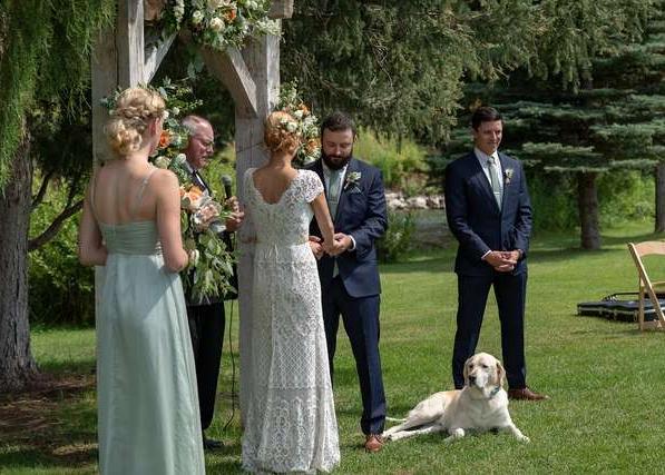 Un perro torpedea la foto de la boda de sus humanos. ¡y los hace famosos en todo el mundo!
