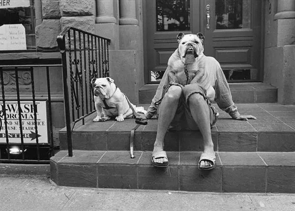 Los mejores fotógrafos de perros: Elliott Erwitt y la comedia humana, la comedia canina