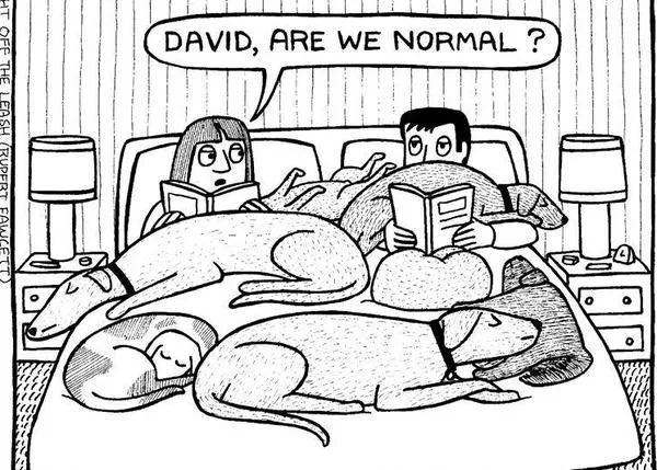 Dormir con ocho perros: la versión real de las tiras cómicas de Off the Leash