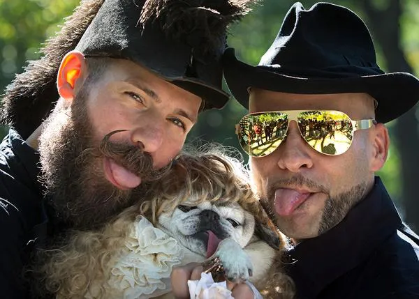 Halloween y los canes: estilismos probables, improbables e imperronables