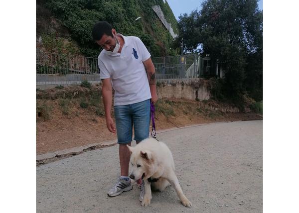 Antonio y su perro Blanco y la red de buenas personas que están haciendo lo imposible para que puedan estar juntos