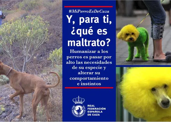La Real Federación Española de Caza lanza una campaña contra el maltrato... contra los perros humanizados
