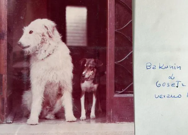 La maravillosa historia con final feliz del secuestro de Bakunin, uno de los perros de Pilar Eyre