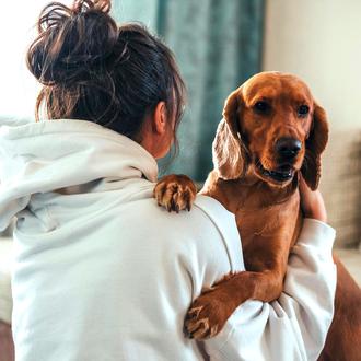 Los perros de intervención asistida reducen la ansiedad y fomentan …