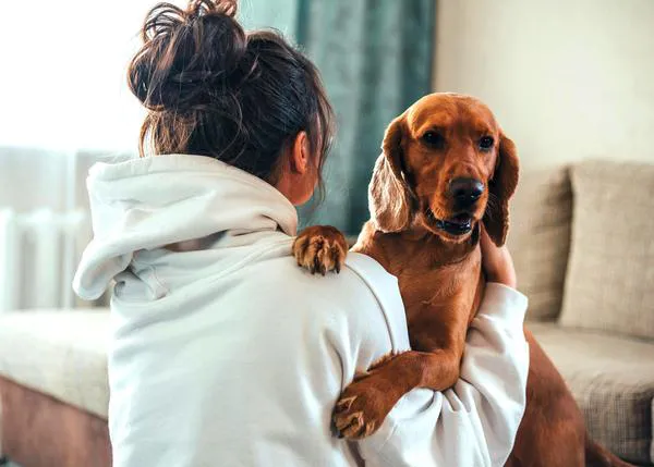 Los perros de intervención asistida reducen la ansiedad y fomentan la confianza de víctimas de violencia doméstica