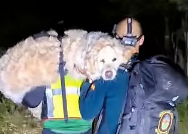 El GREIM de la Guardia Civil rescata en Alicante a un senderista y a su perro, al que tuvieron que llevar a hombros