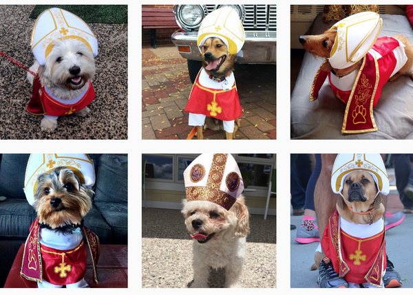 El Papa Perro y otros disfraces caninos para triunfar en cumples, fiestas o Halloween