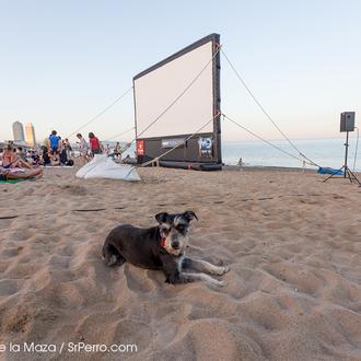 Agenda SrPerro verano: cine, tapas, exposiciones, chapuzones caninos, mercadillos... y …