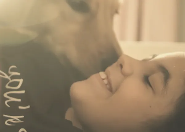 Un cuento de Navidad para todos los que sueñan con reencontrarse con un perro perdido