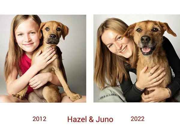 El maravilloso proyecto fotográfico que retrata a perros de jóvenes y de viejitos: #DogYearsProject