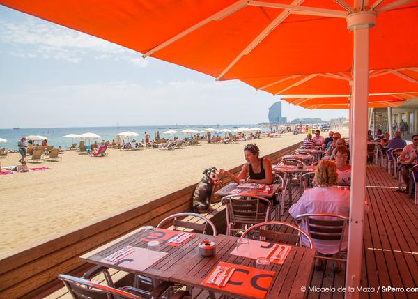 Comer con vistas al mar: 10 restaurantes (y pico) junto a la playa para disfrutar con tu perro