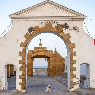 Por primera vez, oficialmente perros bienvenidos en las playas de …