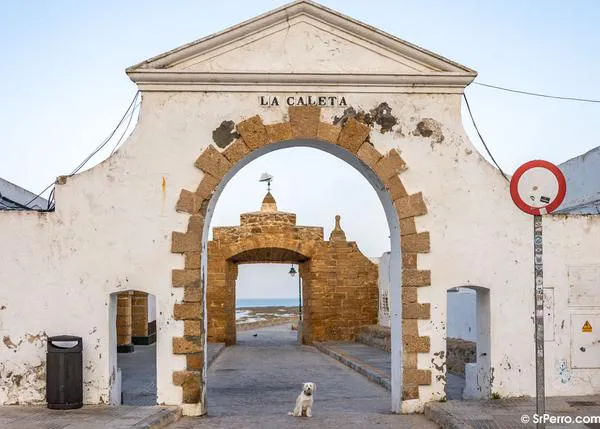 Por primera vez, oficialmente perros bienvenidos en las playas de la ciudad de Cádiz a partir del 1 de octubre 2023